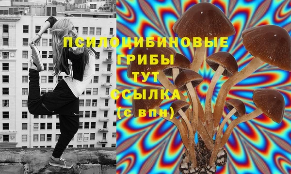 крисы Алексеевка